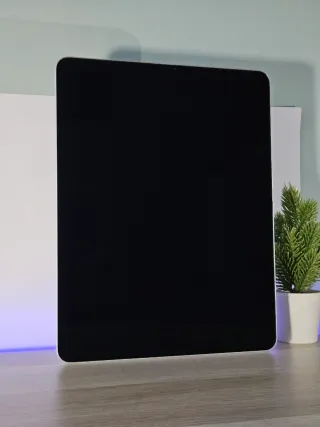 iPad PRO 256GB 12.9