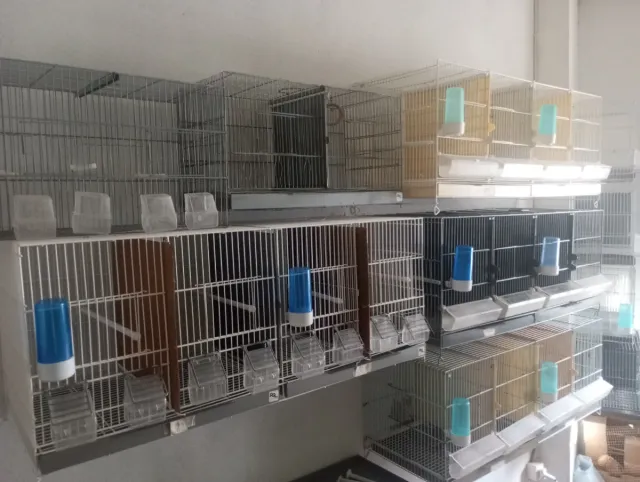 Jaulas de cría para pájaros