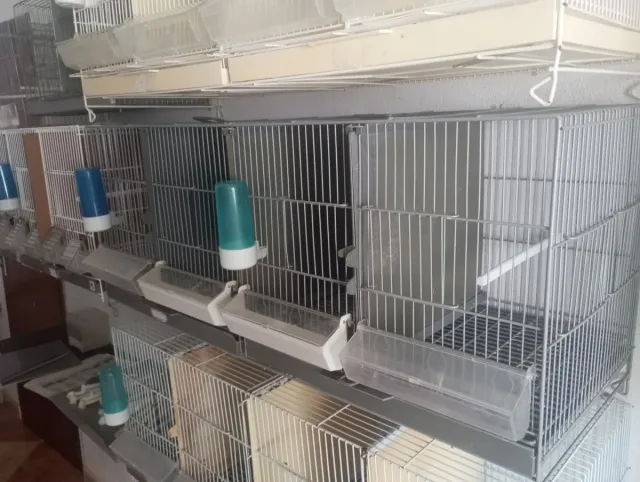 Jaulas de cría para pájaros
