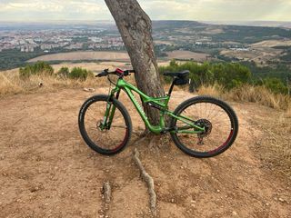Specialized S-Works FSR 29 Carbono M Única 