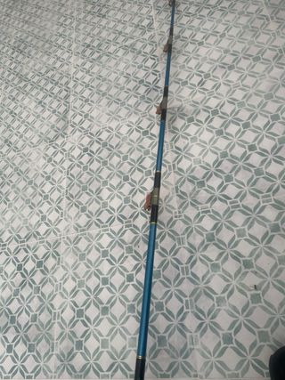Caña pesca Currican altura brumeo