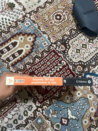 Desarrollo .net para Programadores en Java