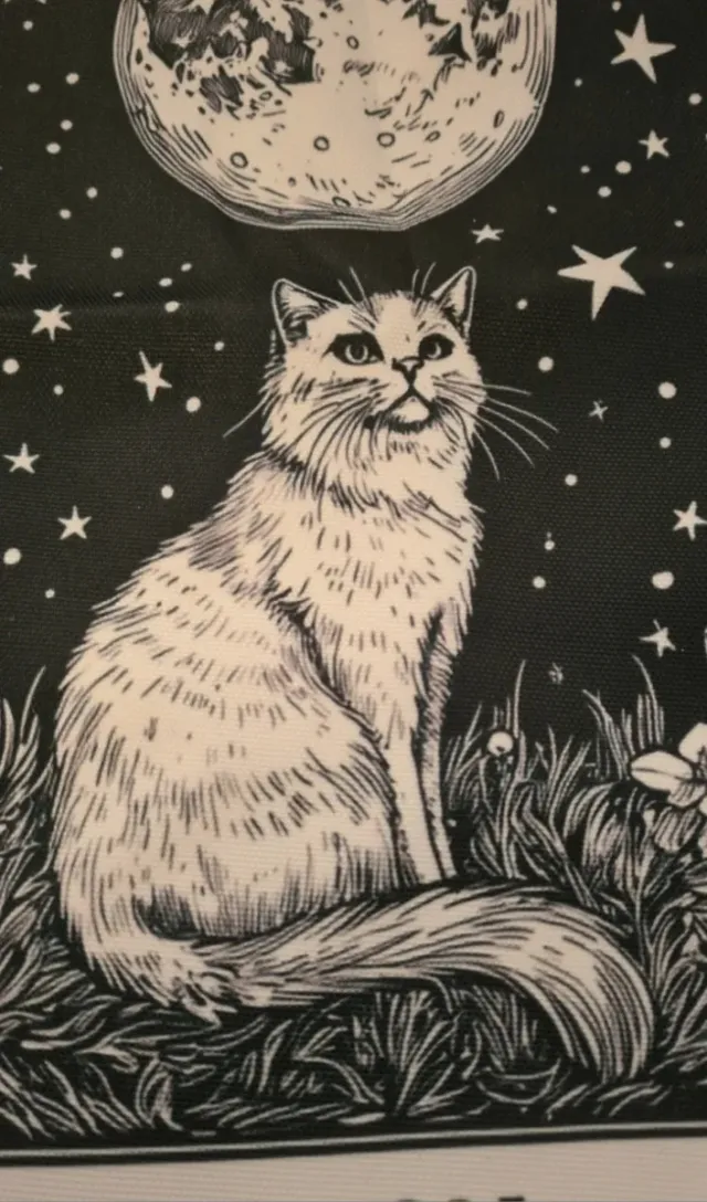 Borsa tote gatto e luna