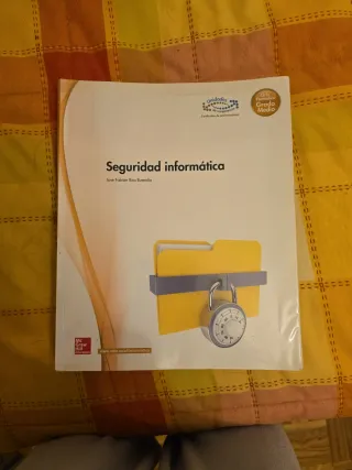 Seguridad informática (Spanish Edition)