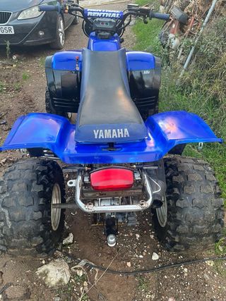 Yamaha warrior 350