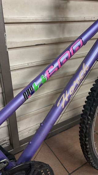 Bicicleta infantil morada
En persona 