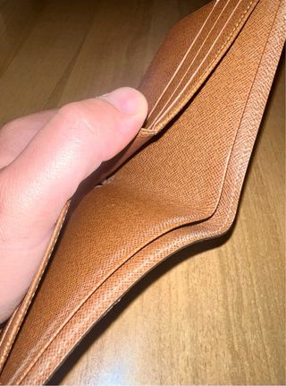 Portafoglio Louis Vuitton Uomo originale