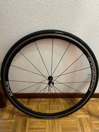 Ruedas Campagnolo Eurus