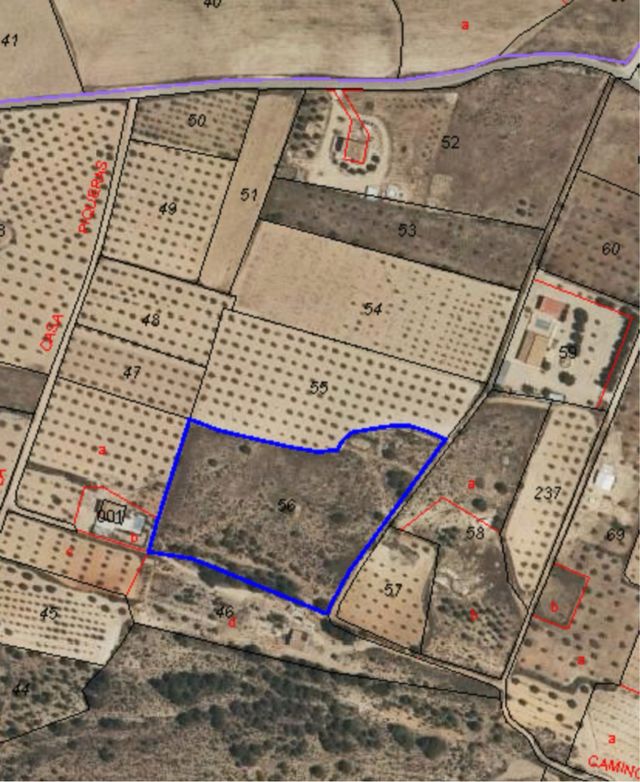 Terreno en venta en Yecla, zona de la cañailla