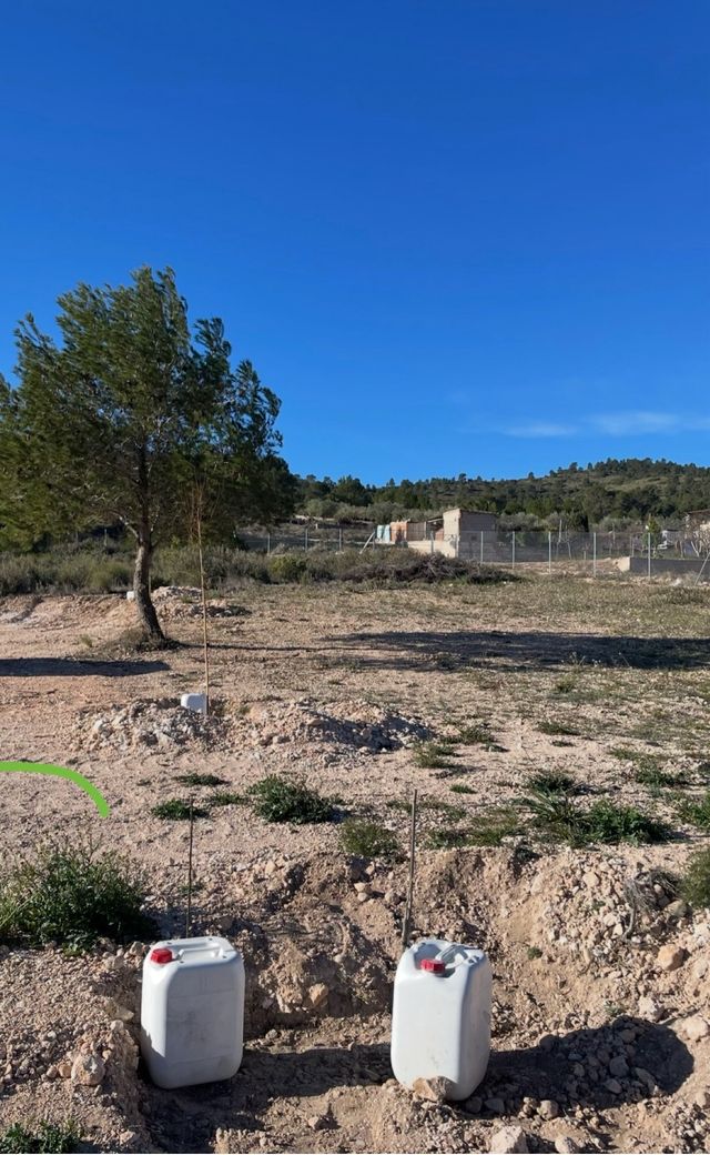 Terreno en venta en Yecla, zona de la cañailla