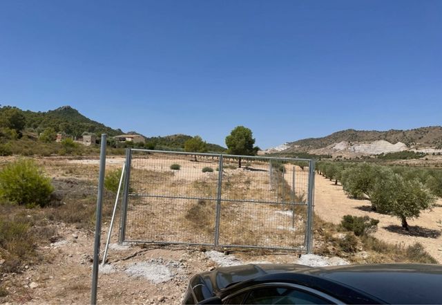Terreno en venta en Yecla, zona de la cañailla