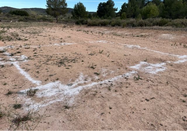 Terreno en venta en Yecla, zona de la cañailla