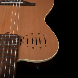 Godin Multiac Nylon Encore Natural + Bolso
