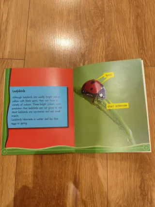 Pack de 6 lecturas de Science en inglés