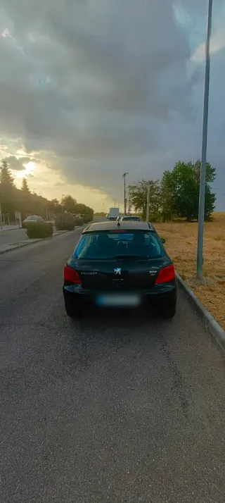 Peugeot 307 2006