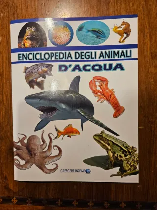Set giochi e libri animali