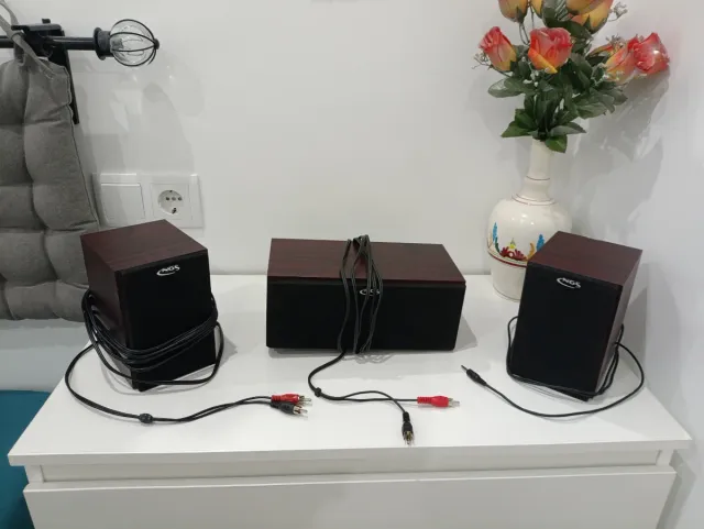 Altoparlanti 2.1 in legno NGS con subwoofer