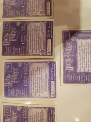 Harry potter panini
