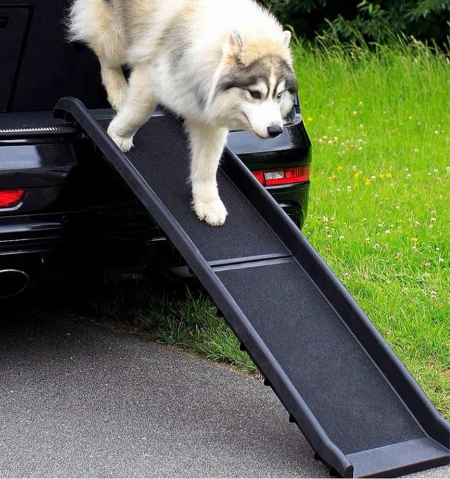 Rampa Plegable para Perros