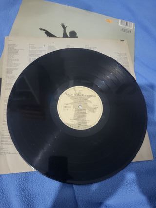 Vinilo Echo & The Bunnymen Indie