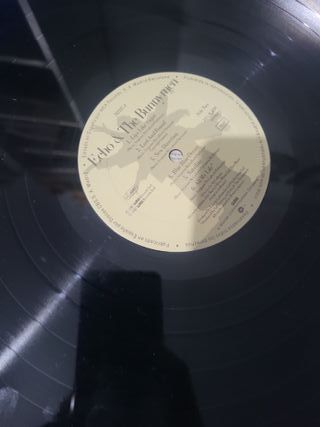 Vinilo Echo & The Bunnymen Indie