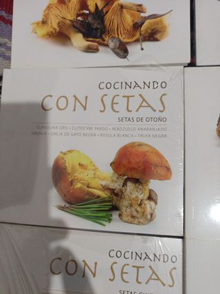Cocinar con setas