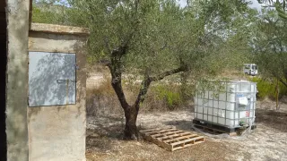 Parcela rústica con olivos y apero