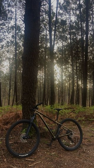 Bicicleta Merida Big Trail 500
