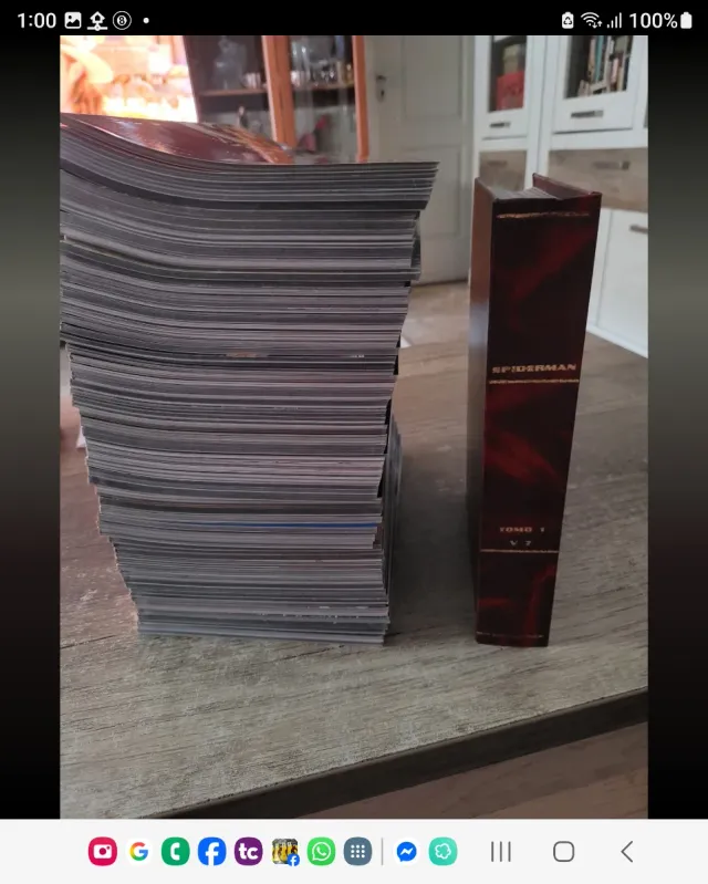 LOTE 75 TOMOS SPIDERMAN VOLUMEN 7 PANINIM