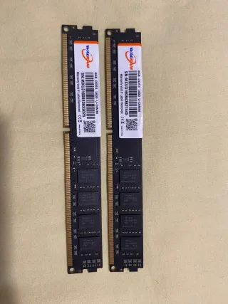 2x 8GB DDR3 1600MHz WALRAM
