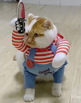 Disfraz Halloween Rayas Sangre Talla Única