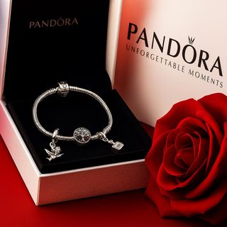 Pulsera Pandora con un charms 