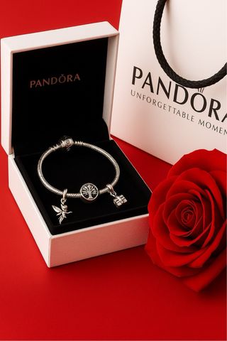 Pulsera Pandora con un charms 