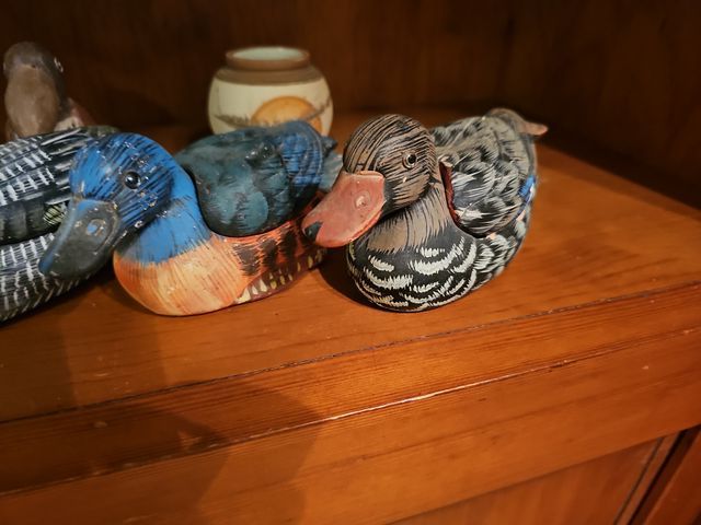 Lote de 5 patos de cerámica decorativos