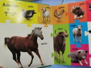 Lote 11 Libros Infantiles. 