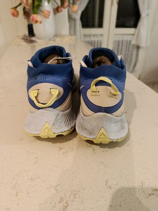 Nike Pegasus Trail Gore-Tex Scarpe Blu