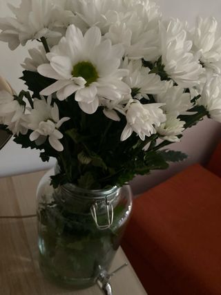 Dispensador agua cristal con grifo