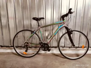 Bicicleta Trekking Ledgano