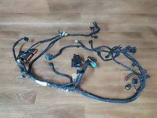 Cableado Suzuki GSX650F 2009