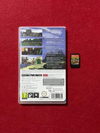 Minecraft Nintendo Switch