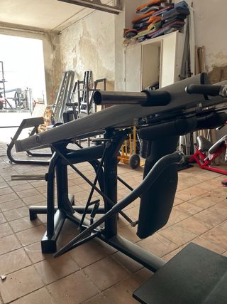 Hack (Jackfruit) CoygarSport