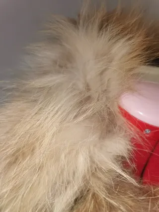 Cazadora Piel Cordero y Zorro Talla 38