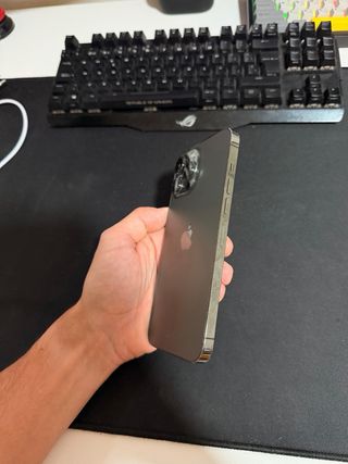 iPhone 13 Pro Max 256 GB