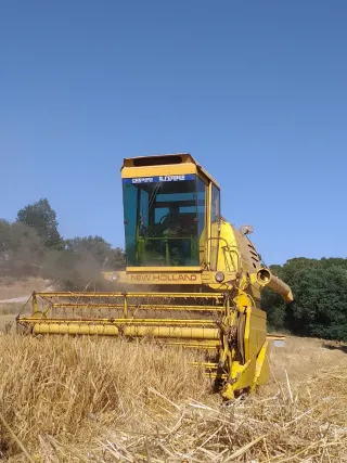 Cosechadora New Holland 1520