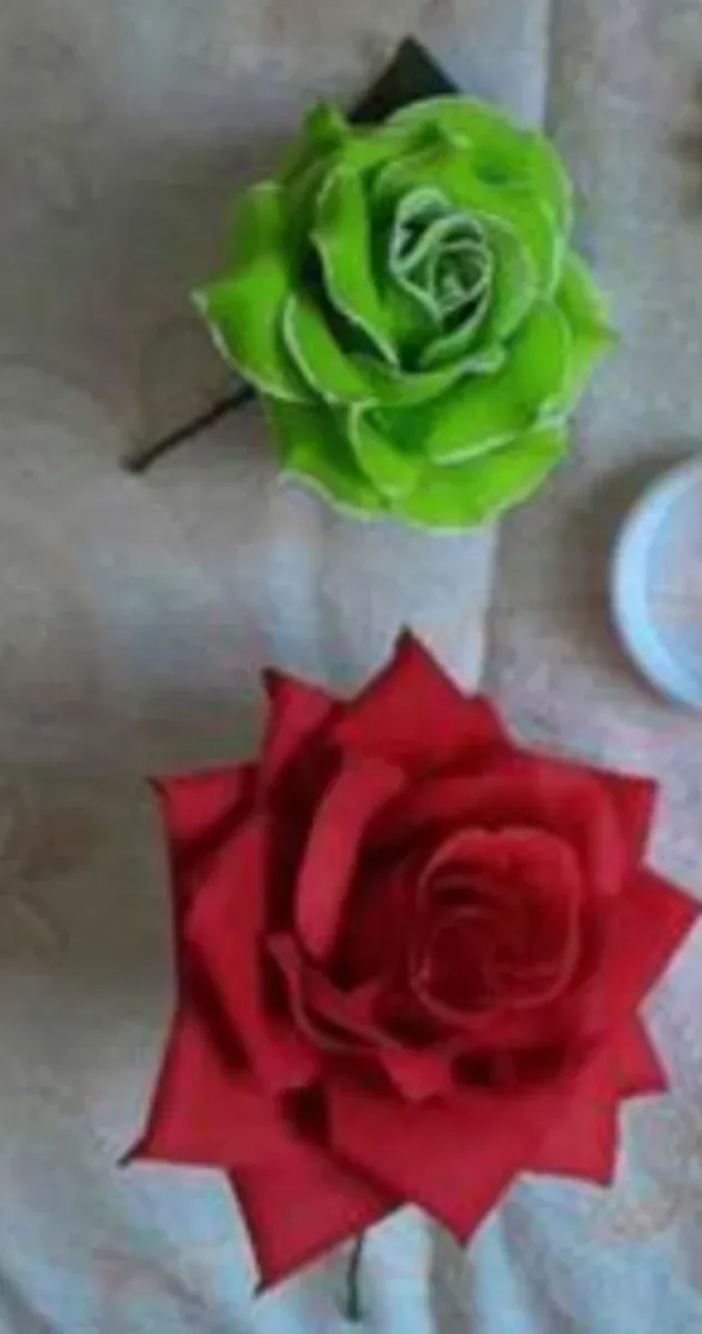 Flores flamenca verdes y rojas