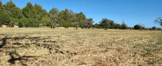Terreno en venta en Campos