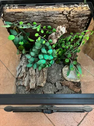 Terrario Exo Terra pack