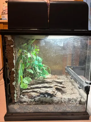 Terrario Exo Terra pack