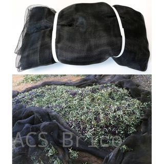 Manto Aceitunas Recolección - 80 g/m² - Negro - 6x12 m