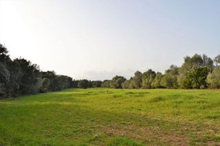 Casa rural en venta en Muro